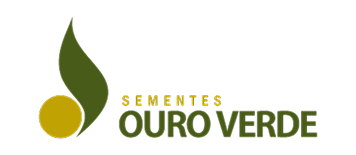Sementes Ouro Verde